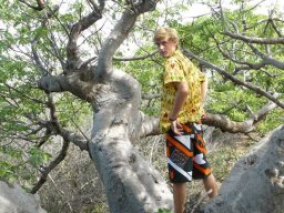 Mission DARABAO - 2011 &raquo; 9ème journée  les baobabs des îles de la Madeleine